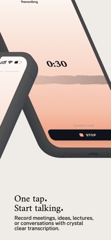 Transcribe AI Voice Notes screenshot
