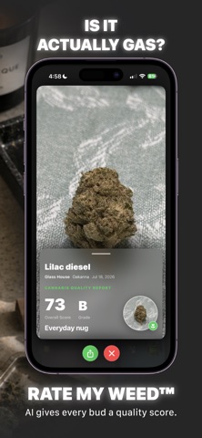 Green Journal: Weed Tracker Screenshot 3 of 10