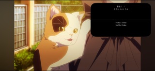 On-screen Subtitle Generator Screenshot 1 of 2