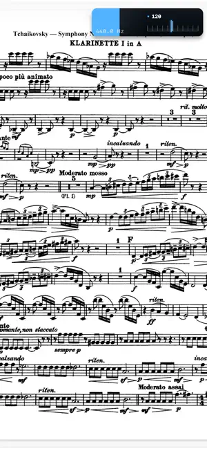 ttuner: tuner & metronome screenshot 2
