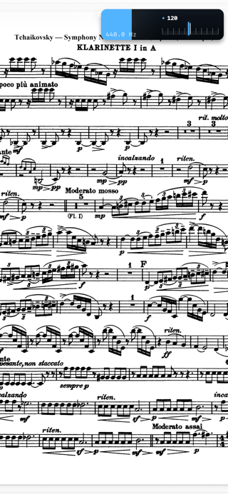 ttuner: tuner & metronome Screenshot 2 of 6
