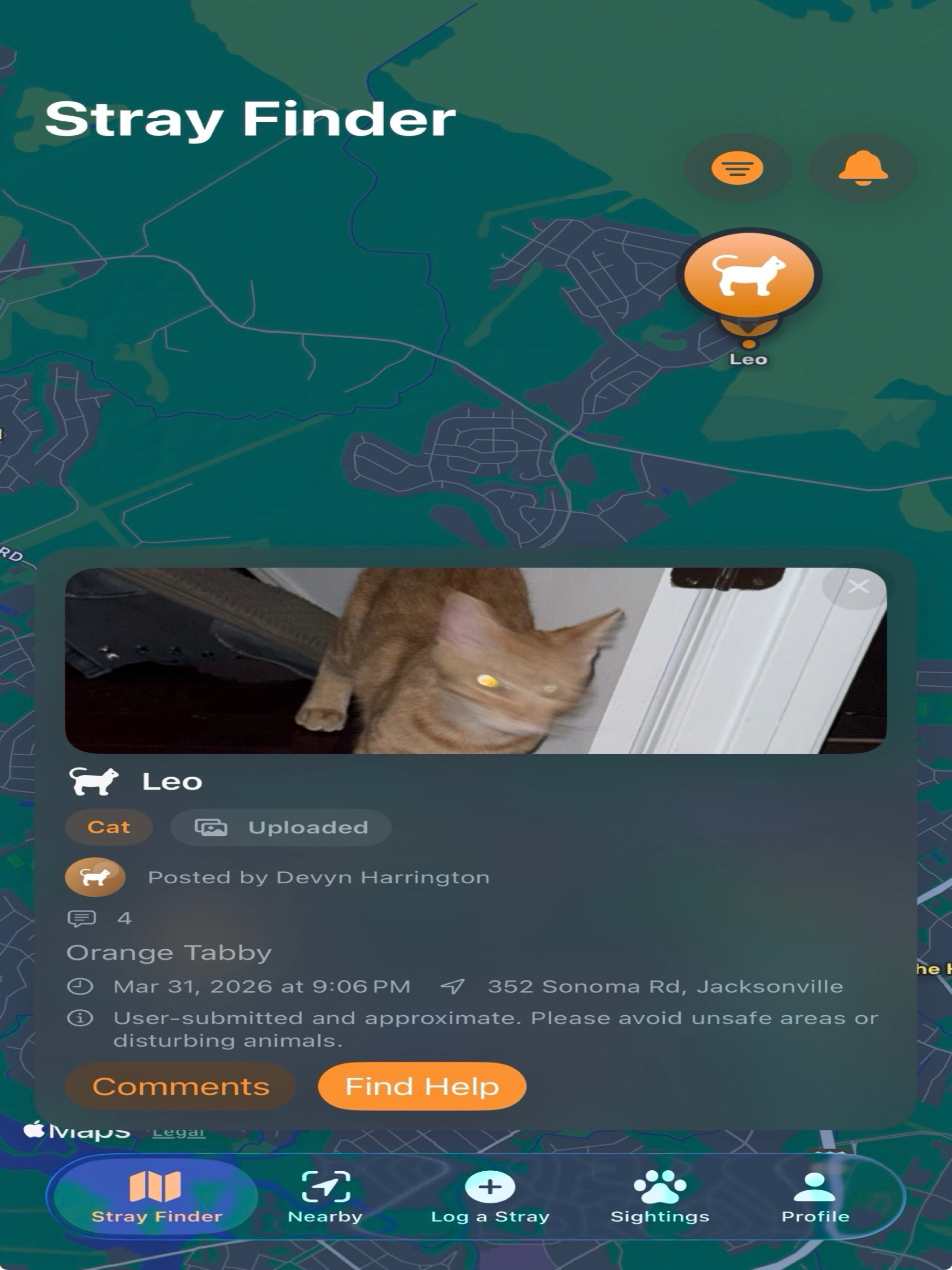 StraySpotter