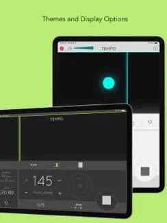 Metronome: Tempo Lite iPad image 2
