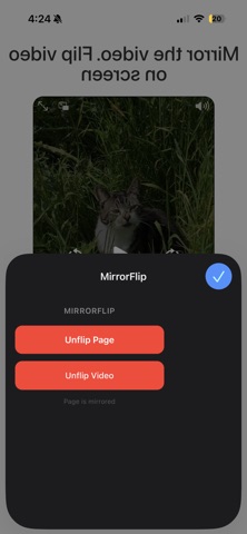 MirrorFlip Screenshot 5 of 5