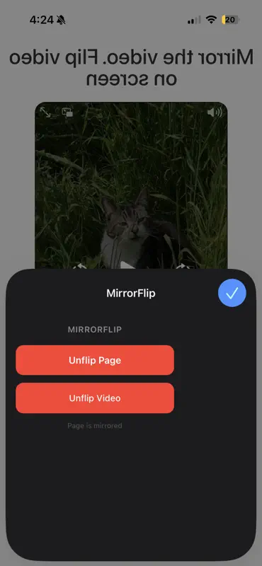 MirrorFlip screenshot 5 of 5