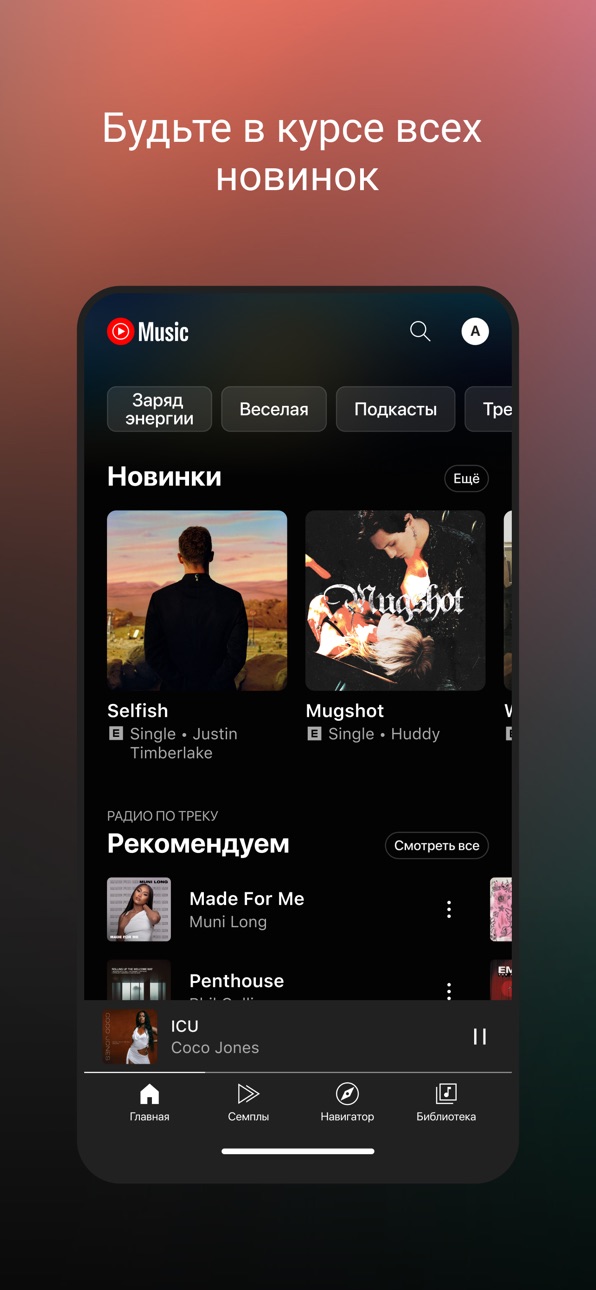 YouTube Music Ultimate screenshot 2 - iOS app interface