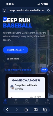 Deep Run Baseball screenshot