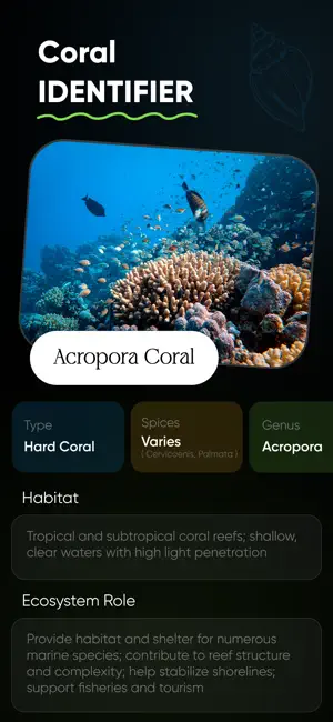 Sea Shell Identifier : Shelify screenshot 4