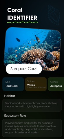 Sea Shell Identifier : Shelify screenshot