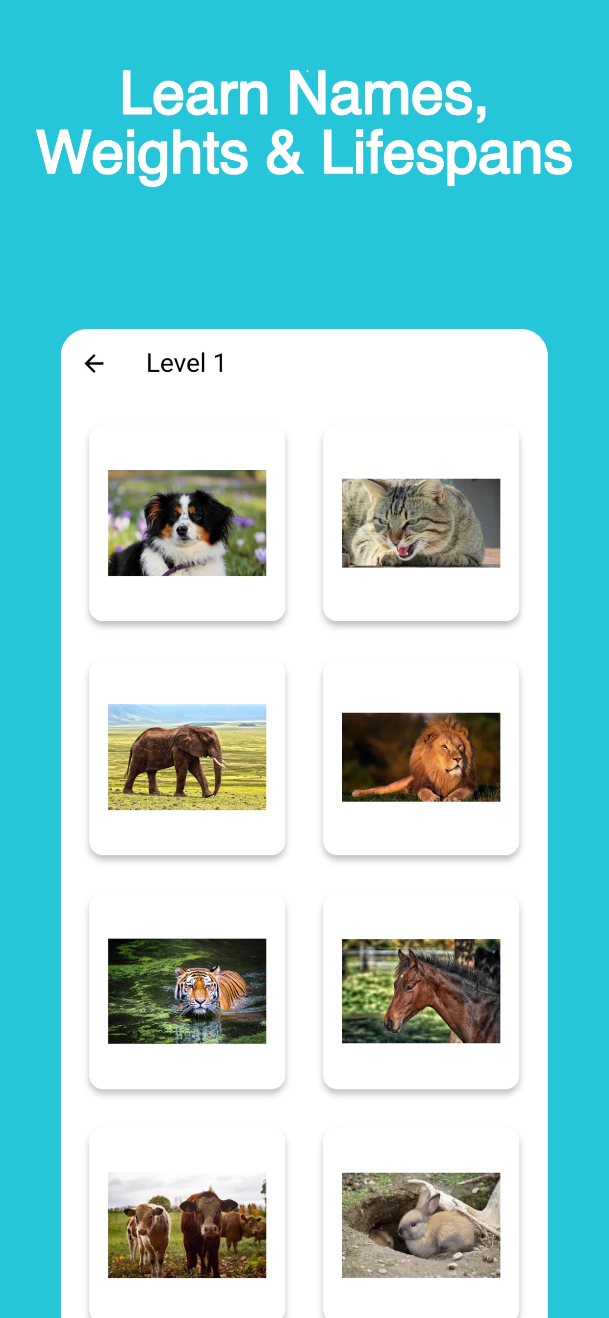 Screenshot 5 of Animal Quiz: Learn & Play