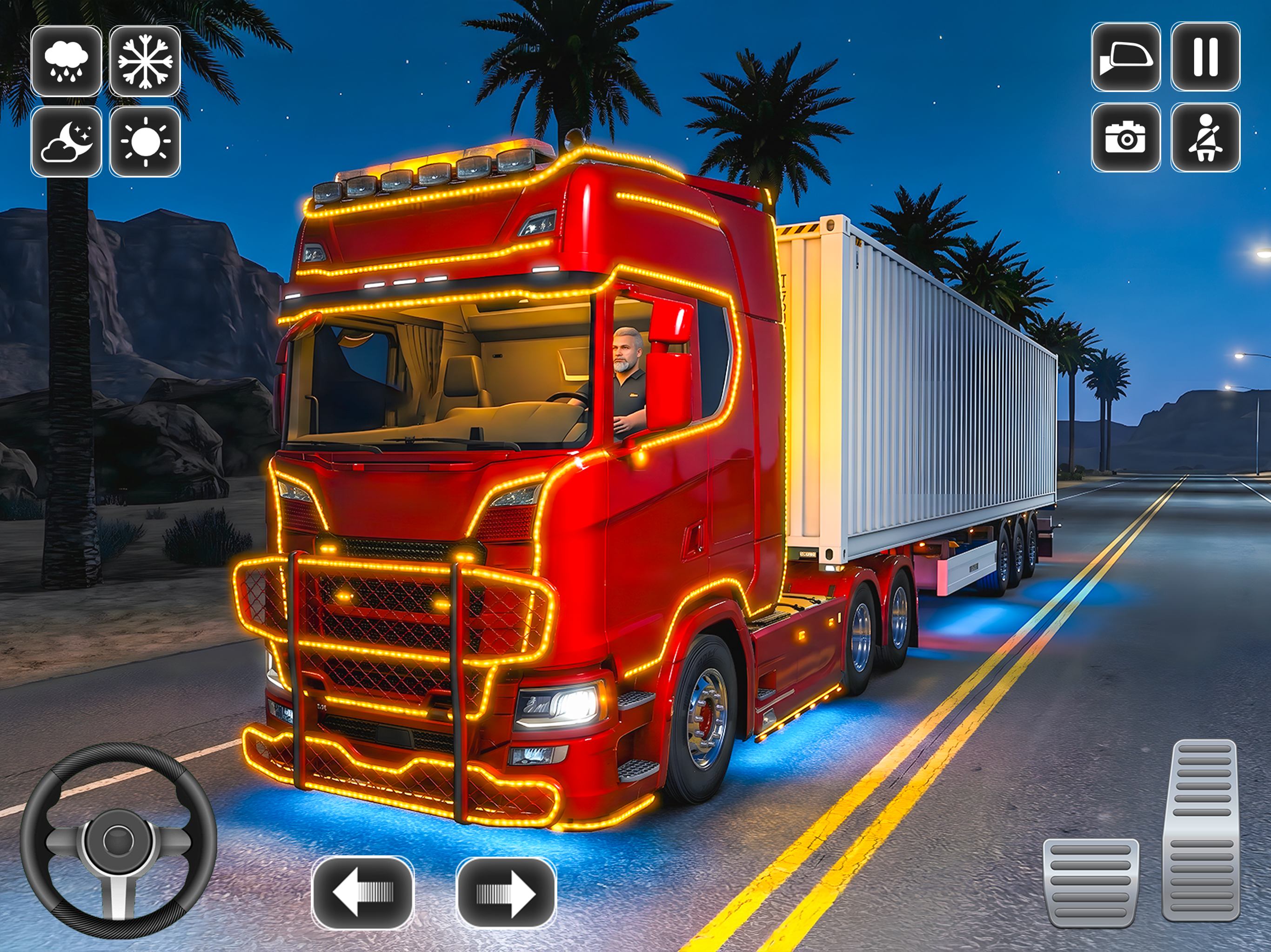 Truck Cargo Driving Simulator screenshot 14
