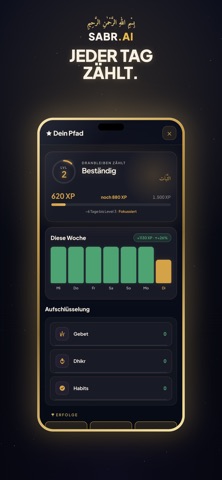 Sabr.Ai screenshot