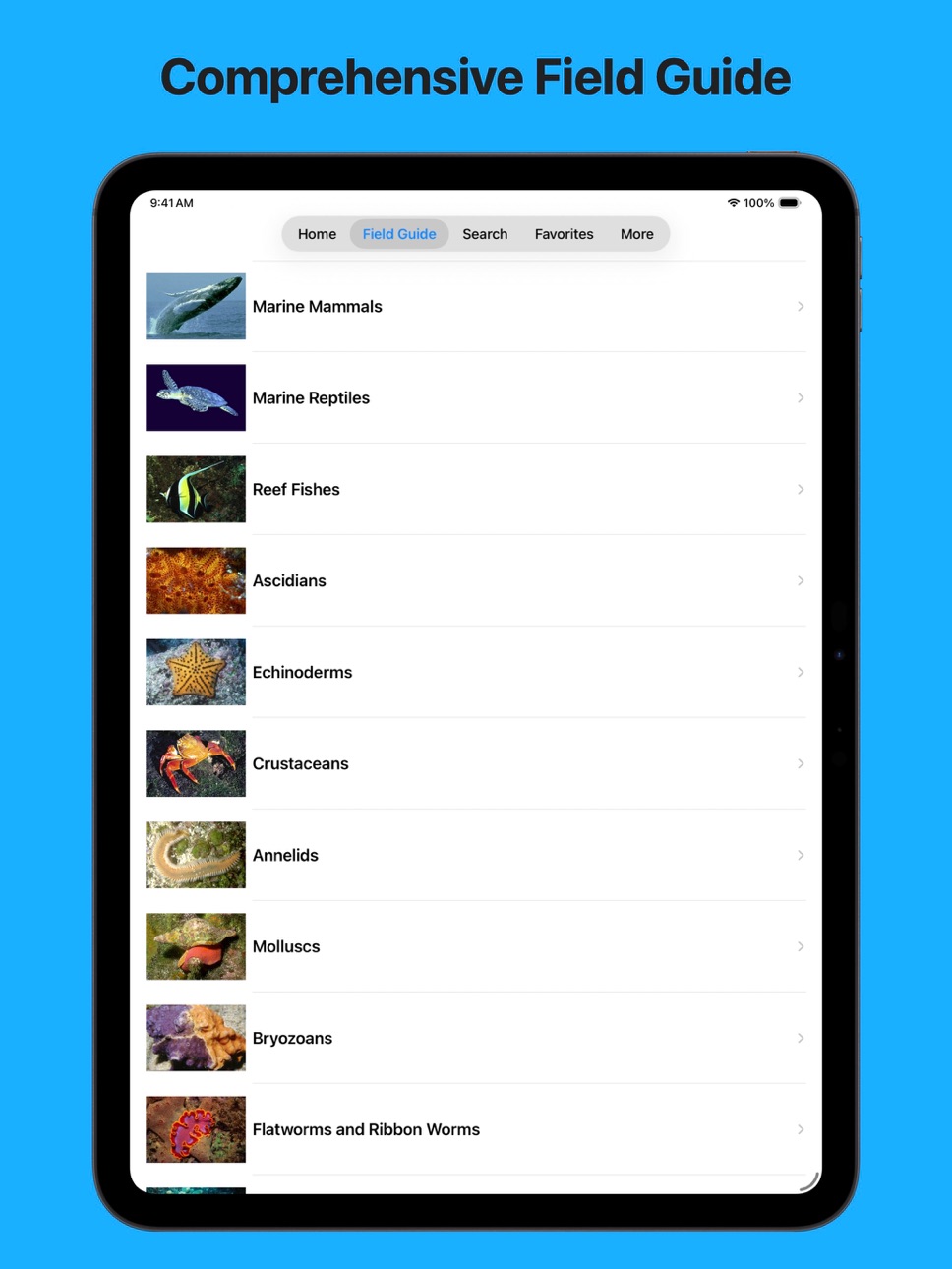 iPad screenshot