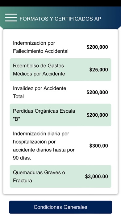 CADI Soluciones Screenshot