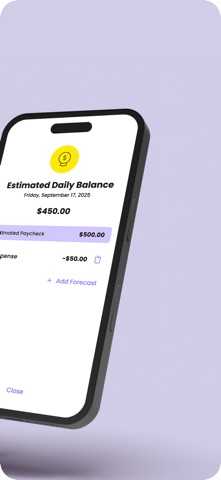 Balance: Tip & Income Tracker Screenshot 4 of 4