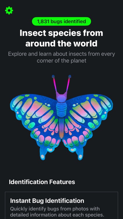 Bug & Insect ID Identification