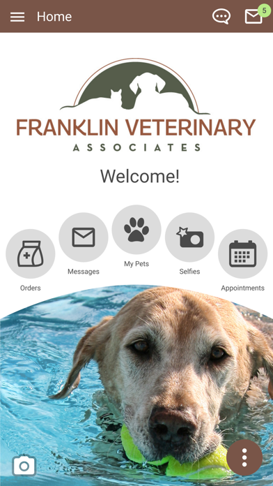 Franklin Vet Screenshot