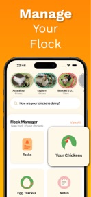 Chicken Identifier – RoostScan screenshot