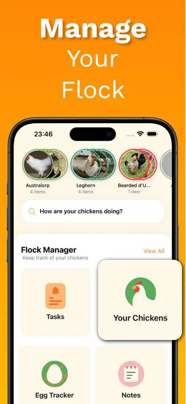 Chicken Identifier – RoostScan screenshot 7 of 8