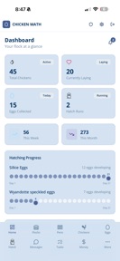 Chicken Math screenshot