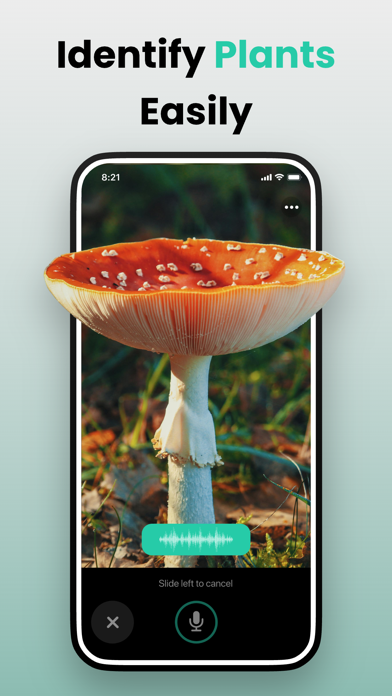 Picture & Ask: Pocket Expert Screenshot