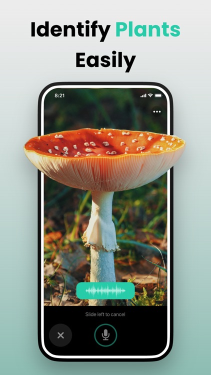 Picture & Ask: Pocket Expert screenshot-5