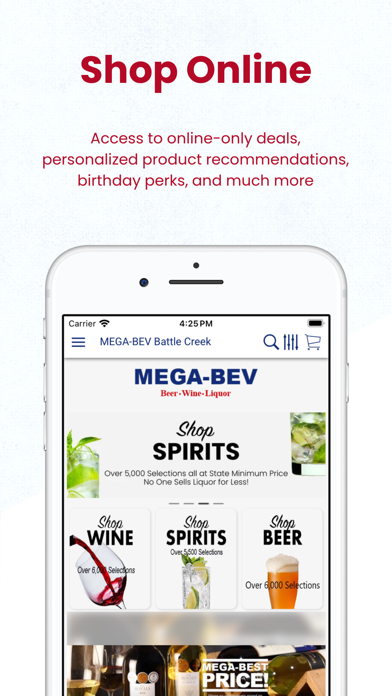 MEGA-BEV Screenshot