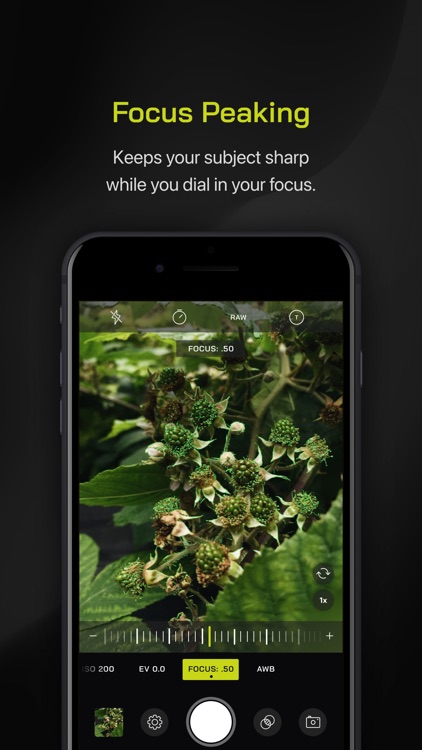 Pro Camera by Moment