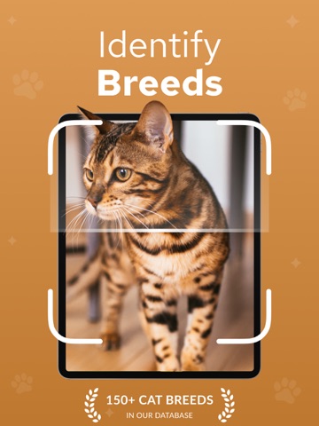 Cat Breed Identifier – Catium iPad screenshot