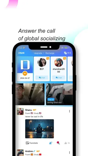 DSLM screenshot 2