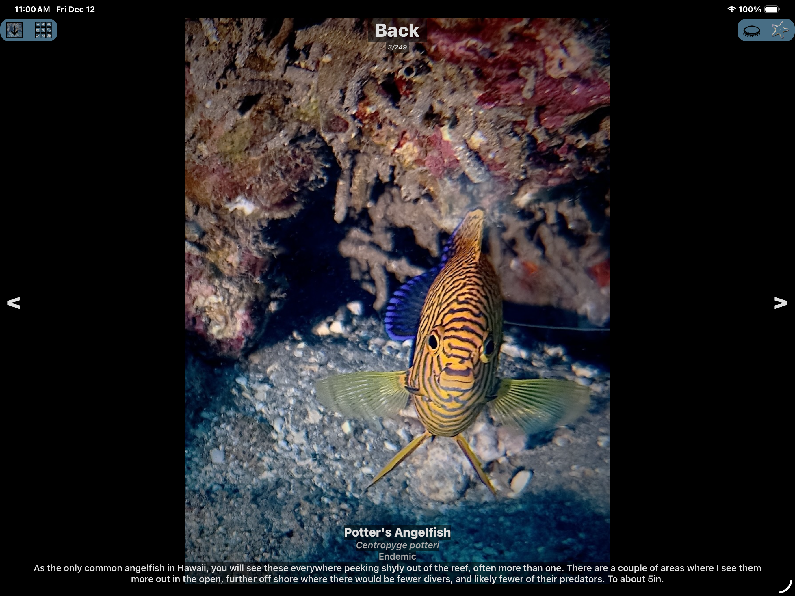 Maui Dive Guide screenshot 20