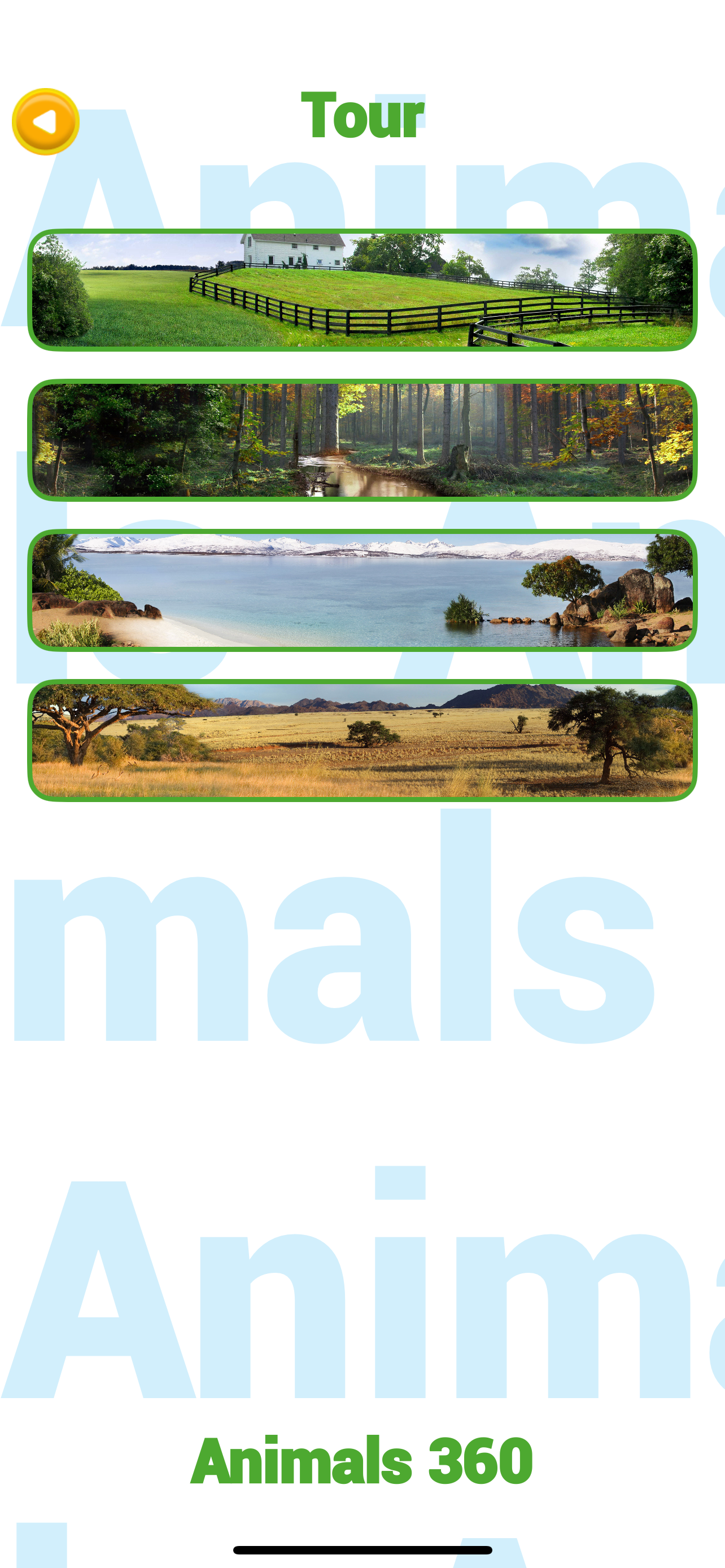 Animals 360