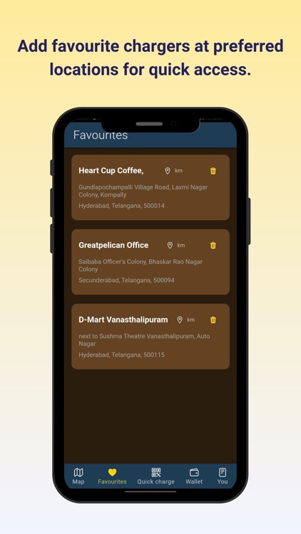 Greatpelican ChargeBird