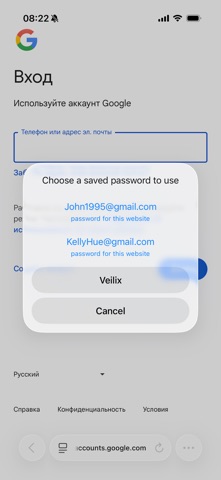 Veilix screenshot