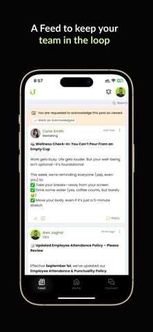 Uniteam. screenshot