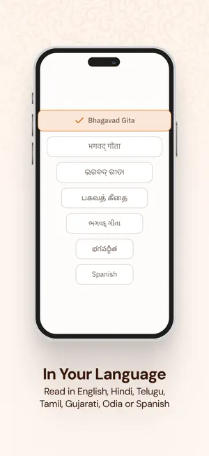 Bhagavad Gita: Hindi & English screenshot 3