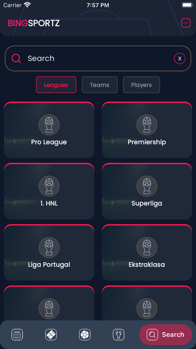 Bingsportz Football Screenshot