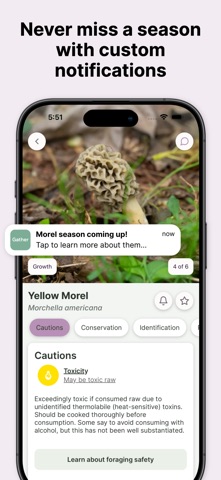 Gather: The Foraging App Screenshot 5 of 9