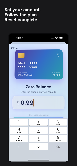 Balance Reset Screenshot 6 of 6