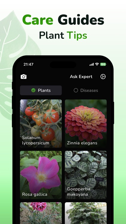 Plant ID & Disease Identifier screenshot-3