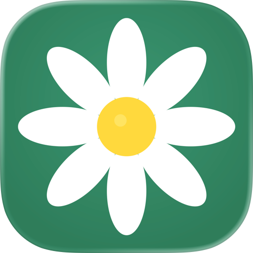 Daisy Garden Solitaire