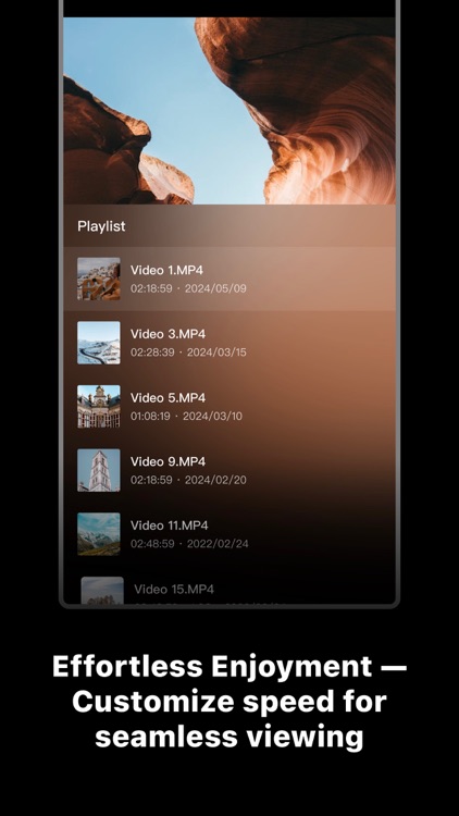 AcePlayer - Play Perfection