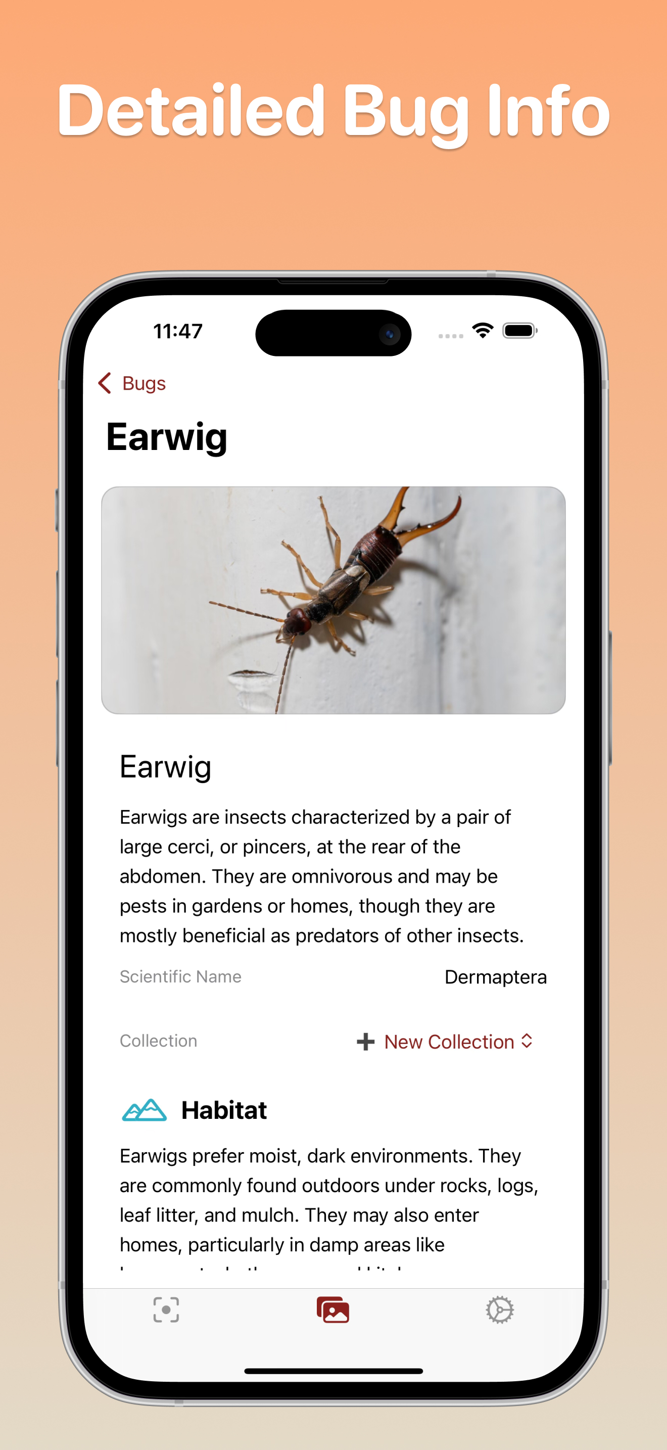 Bug Identifier - Bugxy screenshot 2