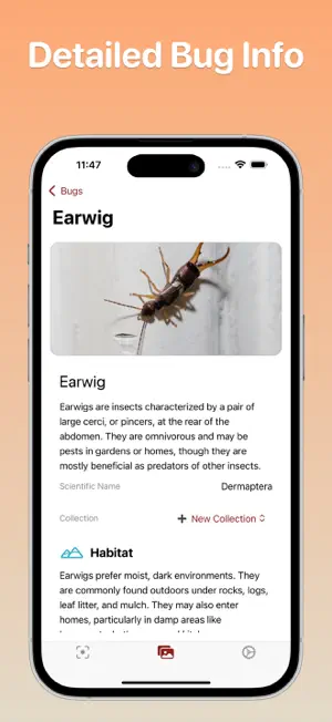 Bug Identifier - Bugxy screenshot 2