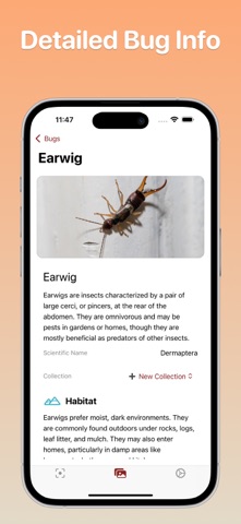 Bug Identifier - Bugxy screenshot