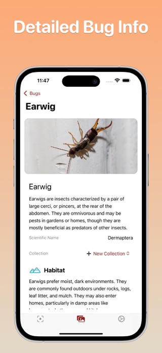 Bug Identifier - Bugxy Screenshot 2 of 5