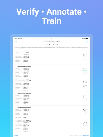 TextraFlow: AI Data Extract iPad screenshot
