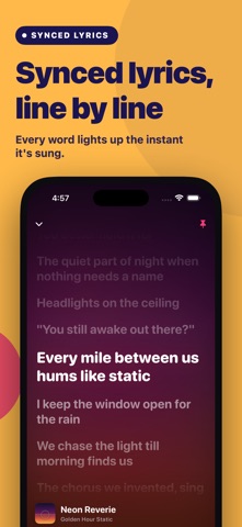 Vibe: Dynamic Lyrics & CarPlay Screenshot 4 of 8