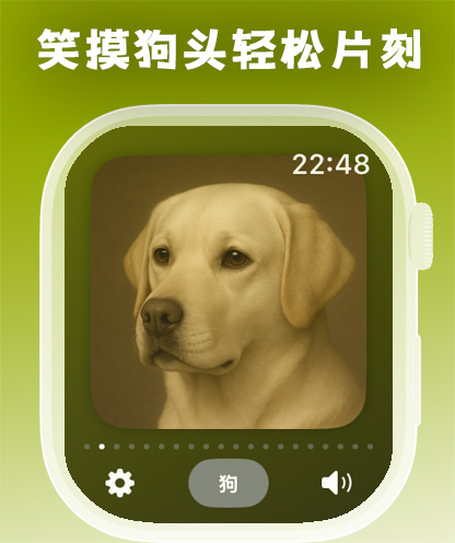 空气猫猫AirPet