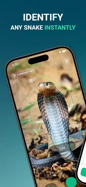 Snake AI: Reptile Identifier screenshot 1